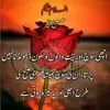 Anwar Jahan - @anwarjahan75 - TikTok