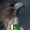 Anwar Jalil - @anwarjalil5 - TikTok