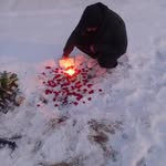 Anwar_Jlili5356 - @anwar_jalili5356 - Instagram