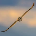 Anwar Jamil - @anwarjamil592 - Instagram