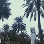 𝑨𝑵𝑾𝑨𝑹✨ - @anwar__khalidi - Instagram