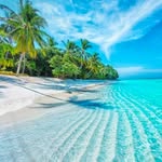 Anwar Khalid - @__anwaar____ - Instagram