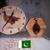Anwar Khalid - @anwarkhalid753 - TikTok