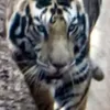 Anwar khalid - @user7256531525856 - TikTok