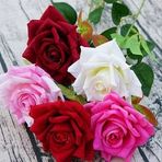 Anwar Khattab - Facebook