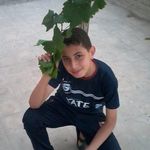 Anwar Khattab - @anwar.khattab70 - Instagram