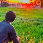Anwar Khattak - @professional_pathtoon - Instagram