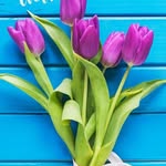 Anwar Khedr - @khedr_anwar - Instagram