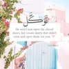 Anwar Khokhar - @anwarkhokhar02 - TikTok