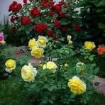 Anwar Latif - Facebook