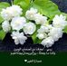 Anwar Taher - Facebook