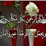 Anwar Yahya - @anwaryahya68 - Instagram