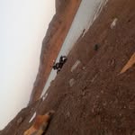 Ãnwãr Yahya - @anwar.yahya.100 - Instagram