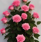 Any Diaz - Facebook