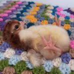Anya Saunders - Facebook