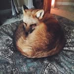 Tanya - @_tanya_spring_ - Instagram