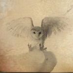 Anya Stone - Facebook