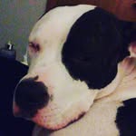 anya stonebraker - @stonebrakeranya - Instagram