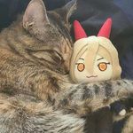 Anya_very_strong - @anya_very_strong - Instagram