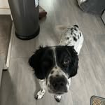 Tracy Wise - @anyawisespam - Instagram
