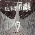 Анна - @anya.wolf - Instagram