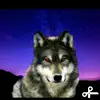Anya_wolf - @ann_wolf0604 - TikTok