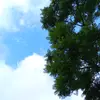 anyeli milagros - @anyelimiranda393 - TikTok