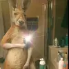 anyelo González - @user9161527944062 - TikTok