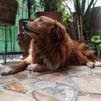 Anyelo Vera - Facebook