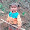 Áo Vàng - @o.vng73 - TikTok