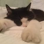 Aoife Malone - @aoife.malone.520 - Instagram