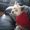 aoifemaloneyryan - @aoifemaloneyryan - TikTok