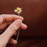 Aparna J Pai - @art.by.pai - Instagram