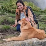 Aparna painuly - @aparna_painuly_ - Instagram