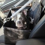 Apollo Diaz - @apollothabully - Instagram