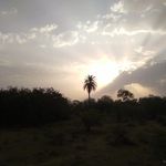 Apoorv Verma - @apoorvvv_21 - Instagram