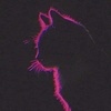 Apple User593842893 - @ivory.2022 - TikTok