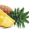 Apple Pineapple - @applepineapple09 - TikTok