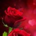 April Amar - Facebook
