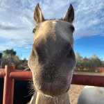 April Baca - @mountainwoman77 - Instagram