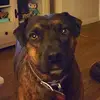 April - @aprilbain6 - TikTok