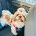 April Bain Golder - Facebook