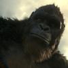 April_bennington - @kingkongwon0 - TikTok