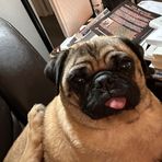 April Bertram - Facebook