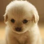 April Bowen - @april.bowen.5891 - Instagram