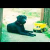 Georgia Girl - @aprilbowling77 - TikTok