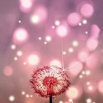 April Burris - @stir_crazy14 - Instagram