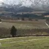 Calvin April - @calvin.april3 - TikTok