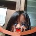 April Cazey Cantor - Facebook
