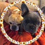 April Carney - Facebook